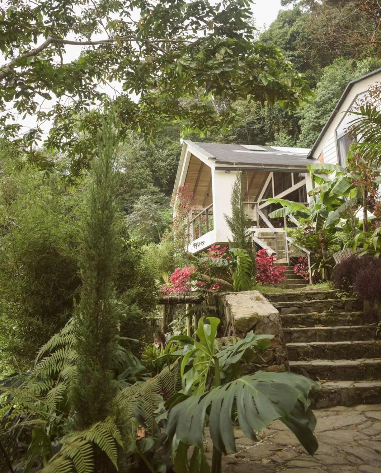 Minca Casa Las Nubes - Un Refugio Natural En La Sierra Nevada, Santa Marta, Col 외부 사진